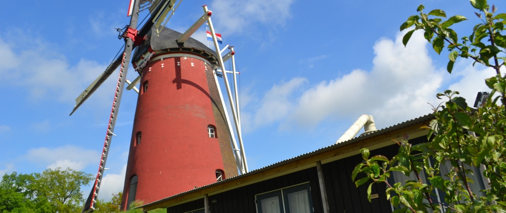 Molendag: "ontmoet de molenaar!"