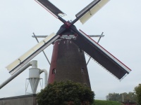 Nieuwe zeilen (2)
